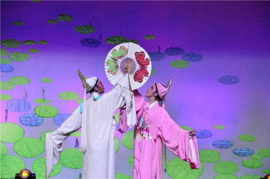 浙艺院赴临安横街村演出